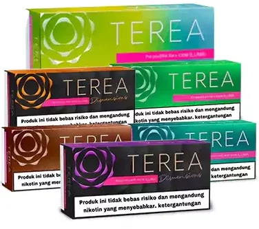 Top 10 Most Popular IQOS Terea Flavors Explained in Dubai (2026 UAE Guide) 1 IQOS TEREA INDONESIN in DUbai , Ajman , Sharjah , Abu DHabi