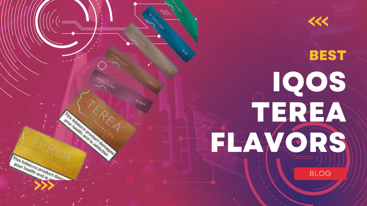 Buy IQOS Terea in UAE