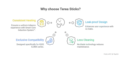 Understanding Terea Sticks in Dubai vape user