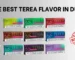 Best Terea Flavors in 2024: A Comprehensive Guide