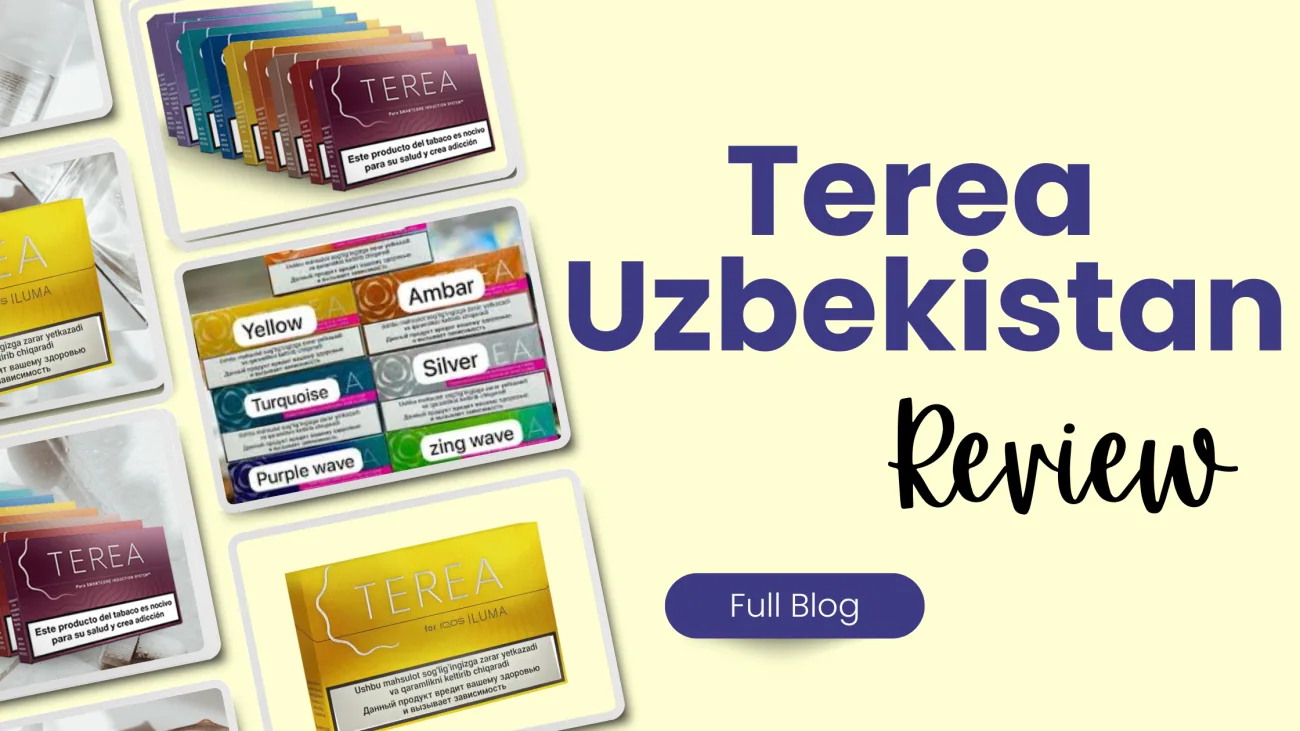 IQOS TEREA Uzbekistan Review Flavor, Strength & Performance