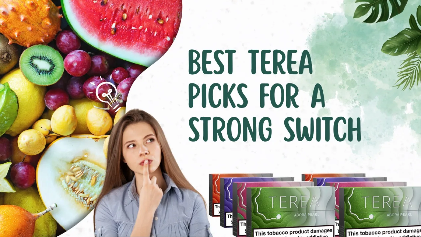 How to Use Iqos Terea Sticks in UAE - A Step-By-Step Guide 1 Best IQOS TEREA Flavors for Heavy Smokers Switching to Heat-Not-Burn