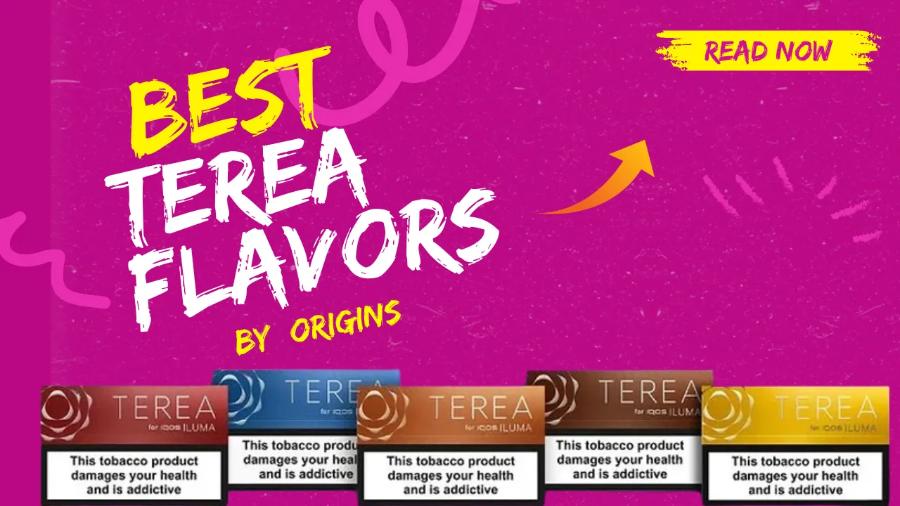 Best IQOS TEREA Flavors by Origin: Quick and Easy Guide in UAE