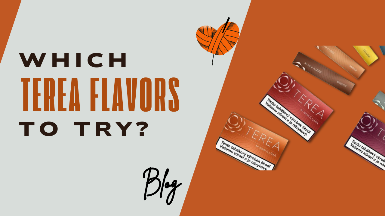 Which TEREA Flavor Origin Should You Try Next?