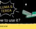 How to Use TEREA for IQOS ILUMA the Right Way?