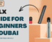 RELX Starter Guide Flavors, Pods, and Tips for First-Time Users in Dubai