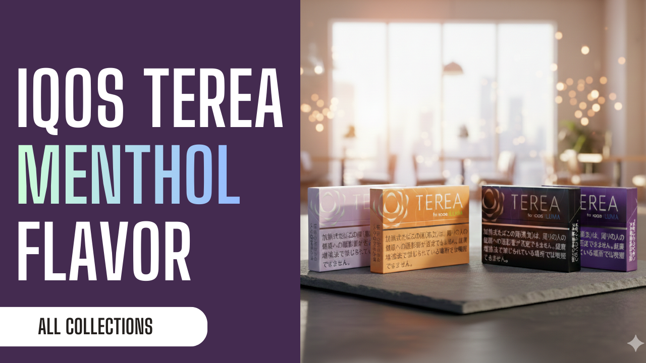 The Full Guide to TEREA Menthol Sticks for IQOS ILUMA