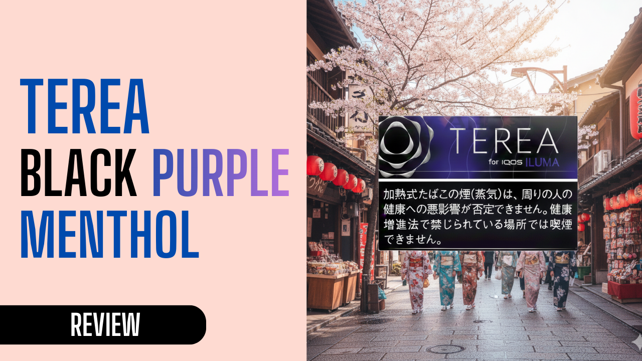 TEREA Black Purple Menthol for Travel, Parties, and Chill Sessions