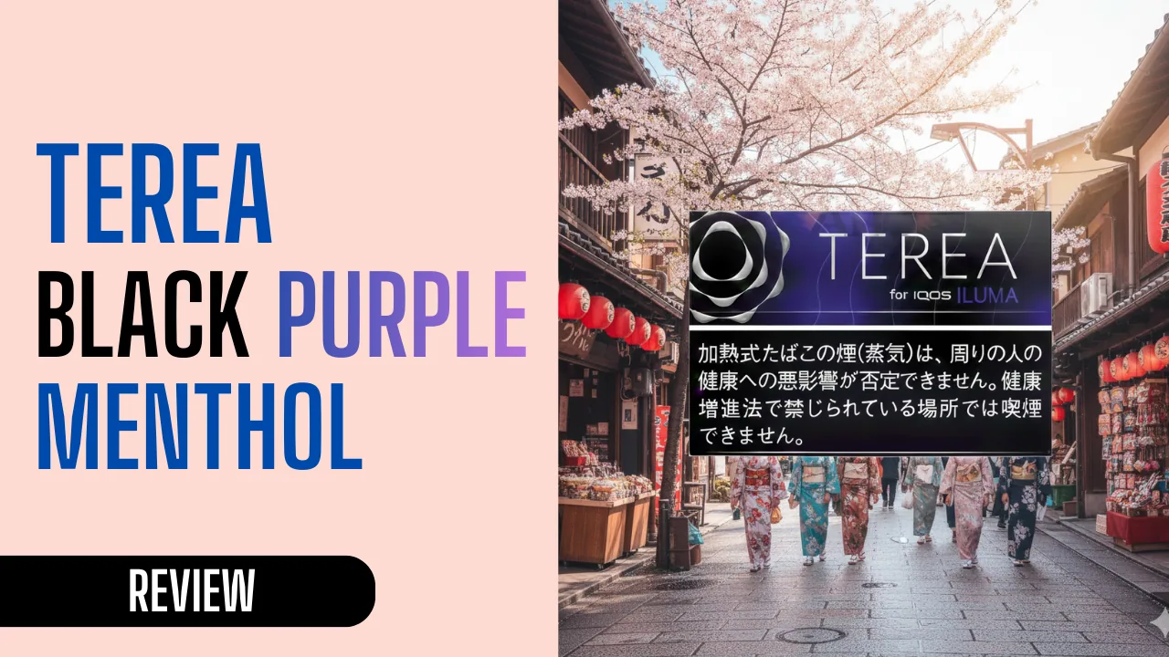 TEREA Black Purple Menthol for Travel, Parties, and Chill Sessions