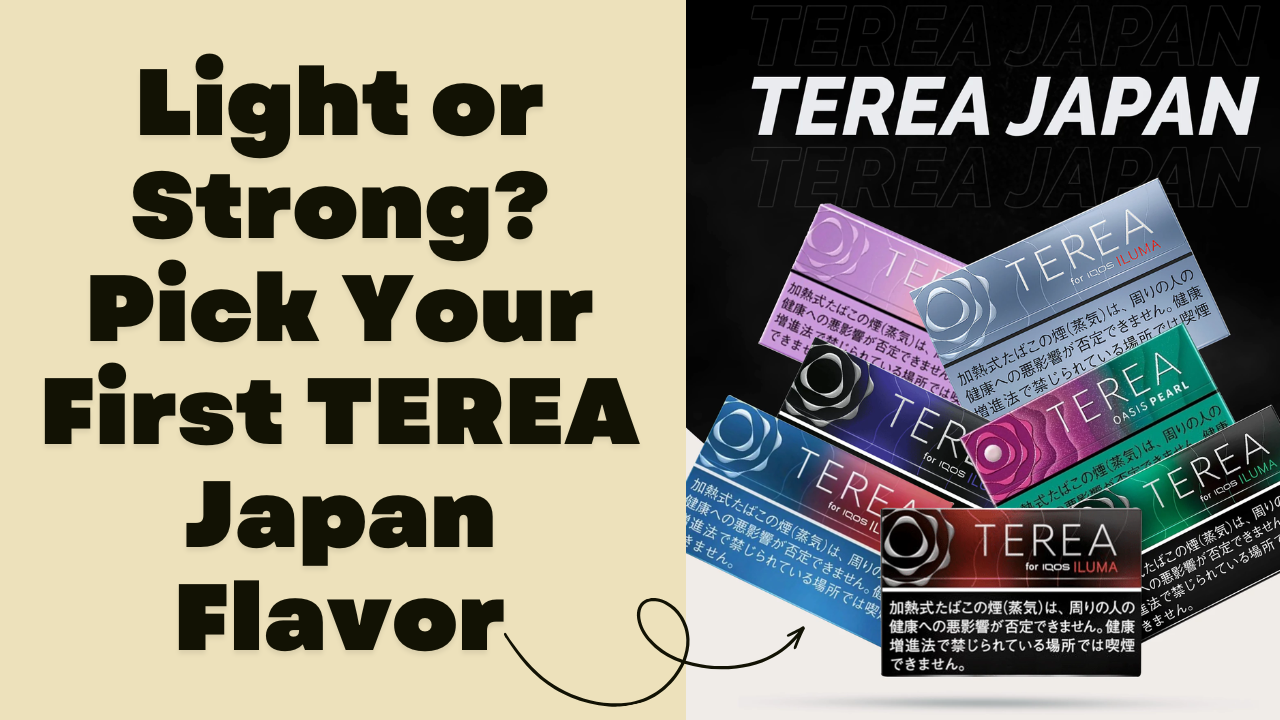 Light vs Strong TEREA Japan Flavors What Beginners Should Pick