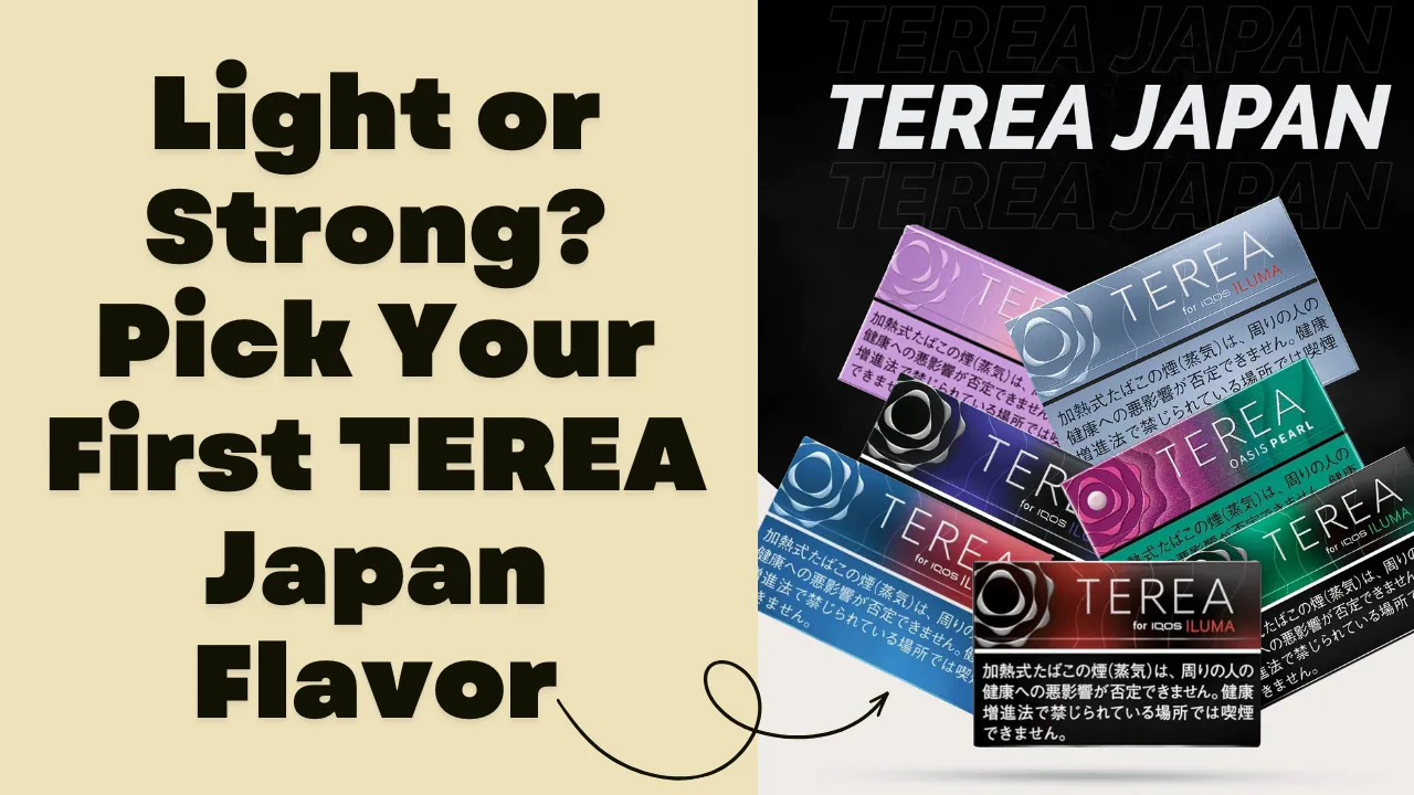 Light vs Strong TEREA Japan Flavors What Beginners Should Pick