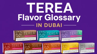 TEREA Flavor Glossary in Dubai - All Flavor Available at Tereaheet Dubai