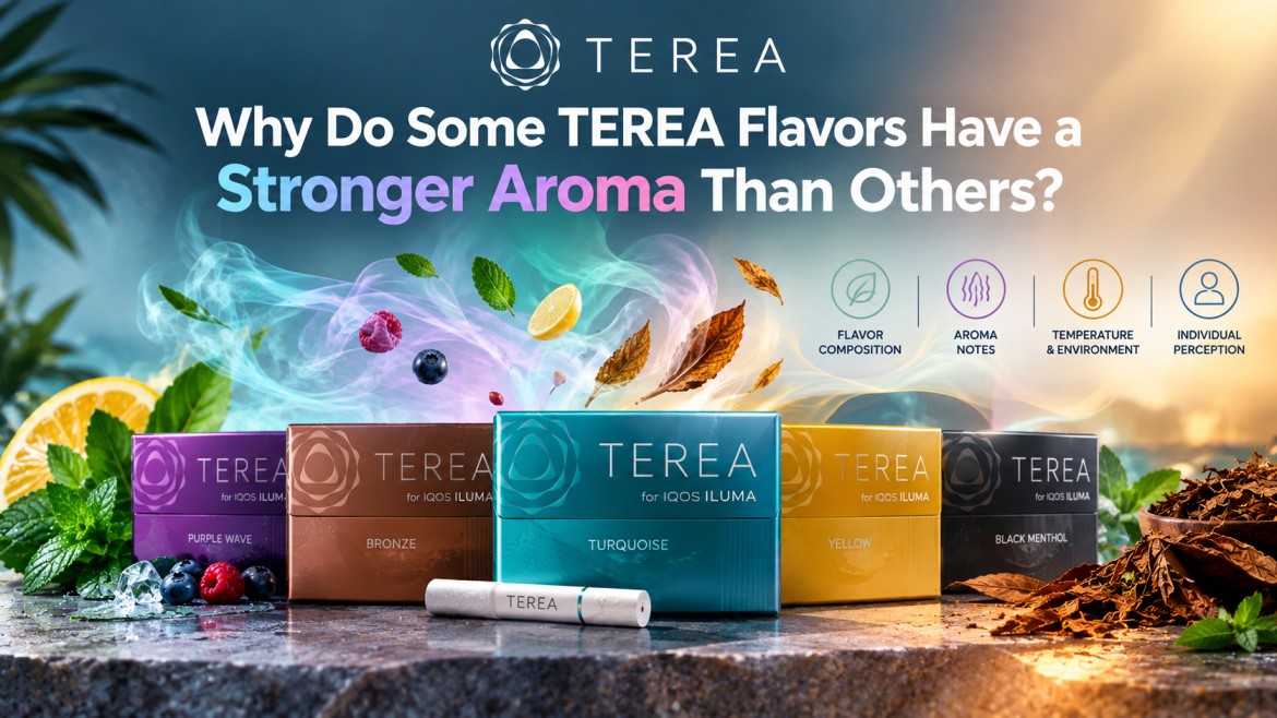 TEREA Flavor Aroma Differences Explained for UAE Users