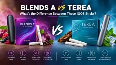 BLENDS A vs TEREA What's the Difference Between These IQOS Sticks