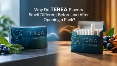 TEREA Pack Smell Before vs After Opening : What’s Normal?